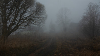 В туман / Деревенская, в пасмурных тонах