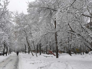 &nbsp; / зимнее