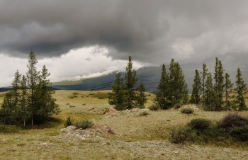 Алтайская непогода. / Алтай. Северо-Чуйский хребет.