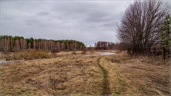 Середина Весны 5 / 14 марта 2019, река Дрезна, восток Подмосковья.