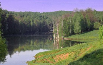 Безмятежная пятница / Безмятежная пятница