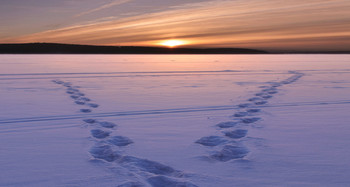 Загадки рассвета... / Встретились..., или разошлись