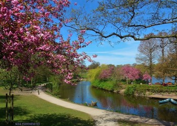 Весна в городском парке / Альбом «Гамбург. Парки, вересковая долина, дюны»: http://fotokto.ru/id156888/photo?album=75053
