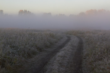 &nbsp; / туман,дорога,рассвет