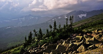 Вечер в Кузнецкий Алатау / Кузнецкий Алатау, Хакасия