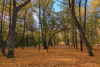 Осенняя аллея / В Харитоновском парке, Екатеринбург