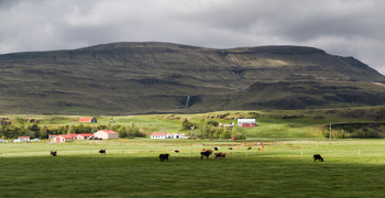 Возможно будет дождь / 05 июня 2014. Исландия. По дороге из Рейкьявик к Йёкюльсаурлоун (самая большая ледниковая лагуна в Исландии) погода несколько раз менялась.