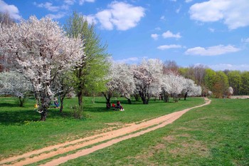 цветение весны / Накануне Светлого Христова Воскресения все расцвело...