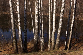 С высокого берега. / На берегу озера, апрель.