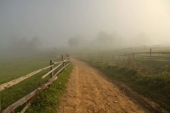 Дорога в густой туман / Из прогулок по Закарпатью