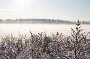 Туманное утро января. Бологое.Озеро / Новогодняя прогулка по Бологое.
Туманное утро января. Бологое. Озеро