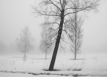 Весна туманная / Сыро и туманно, но это весна...