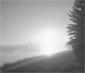 рассвет / ***