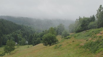 Лесника заимка / В заповеднике