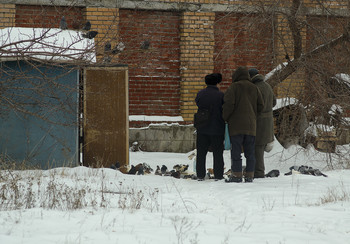 ..." любовь" и голуби. / "Любимое настроение"