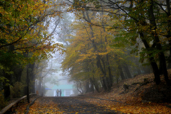 Утром осенним...... / Железноводск. Октябрь