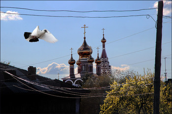 Свет ВЕСНЫ / Одно из моих старых и любимых мест по пути к реке... /2010-й год/