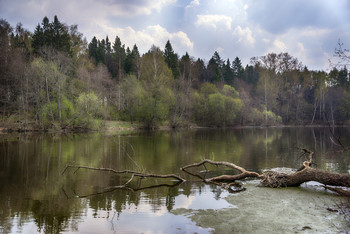 Фрагмент весны / река