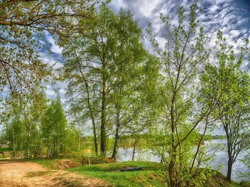 На берегу реки Волги. / На берегу реки Волги.