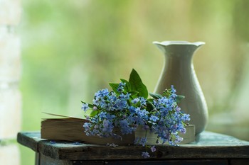 Незабудковый май / ***