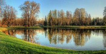 В парке / панорама