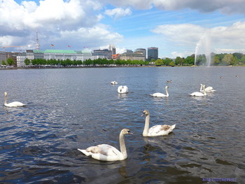 Alster Hamburg / Альбом «Гамбург. Озеро Альстер, каналы»:
http://fotokto.ru/id156888/photo?album=62939
Альбом «Пейзаж»: http://fotokto.ru/id156888/photo?album=76852