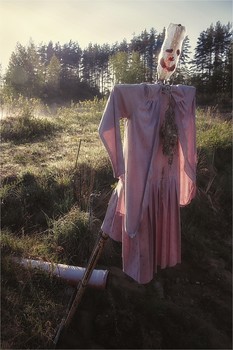 Особенности национальной погоды / 2012
особенности национальной политической погоды в Прибалтике