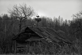 Заброшенное счастье... / Где-то на Смоленщине.