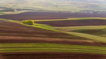 Утро / ***