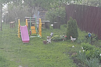 Майский дождь. / Майский дождь

Майский дождь барабанит по крыше,
Оббивает ореховый цвет.
Крики ласточек слышатся ниже
Под весёлый воды рикошет.

Свежесть неба питает Природу,
Воздух чист - ни пылинки вокруг.
Кто-то в голос ругает погоду,
Для меня дождь (поистине) - Друг!

С Ним Душевная льётся беседа
И не стыдно, порой, зарыдать.
А попросишь благого совета, -
Не откажет, спеша поддержать...

Угощу Друга чаем с жасмином
И кусочком-другим пирога.
Он устроится перед камином,
В волосах полыхнут жемчуга.

Поболтаем о всяком, о разном,
Расспрошу: где бывал, что видал.
Он расскажет о мире контрастном
И о странах, в каких выпадал...

Погостив, Дождь, с шутливым поклоном,
Плащ расправит, легко воспарив.
И сольётся с родным небосклоном,
Сочных радуг букет подарив...

© Элена Солис
Источник: https://millionstatusov.ru/stihi/dozhd.html