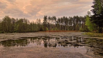 Непопулярное место / Птицы не пролетают, животные не забредают на это заболачивающееся озеро. Людям попавшим сюда становится тревожно, а вечером даже жутко, т.к. издающий звуки, вырывающийся из торфяного дна газ-метан, создает впечатление шабаша ведьм или злых существ.