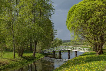 Май в заповеднике... / ***