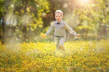 Солнечный зайчик / Прекрасное попе одуванчиков в солнечном сиянии с искренними детскими эмоциями.