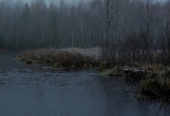 Ноябрь. Светает после ночных заморозков ... / &quot;В лесу заметней стала елка,
 Он прибран засветло и пуст.
 И оголенный, как метелка,
 Забитый грязью у проселка,
 Обдутый изморозью золкой,
 Дрожит, свистит лозовый куст ...&quot;
 А.Твардовский