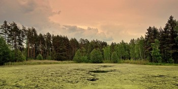 Грозовой май / Грозы вчера целый день проливали дожди на озере Рясник в Орловском Полесье