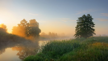 Летним утром / Рассвет у реки