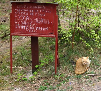 Сегодня лучше, чем вчера / ***