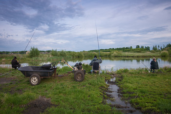Сельский пруд... / Рыбалка на сельском пруду...