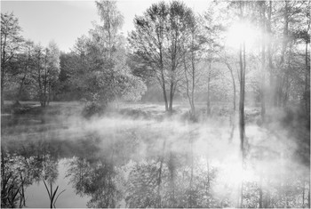 утро на реке / ***