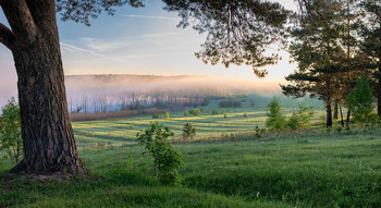 утро / ...