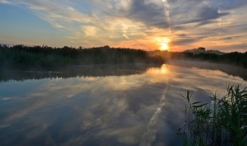 Течет река туманная / ***