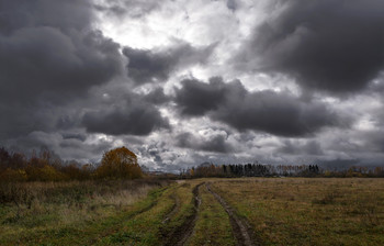 Осень хмурая - тоска / Витебская область, глубинка