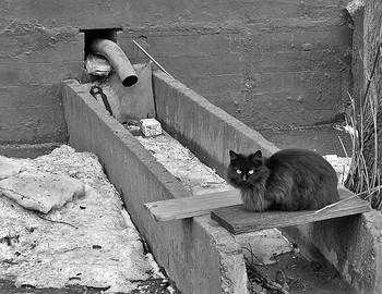 Хранительница "живительного" источника / ***