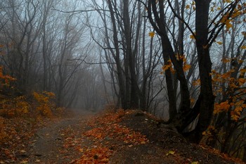Кавказская осень.......... / Железноводск Ставр. Октябрь
