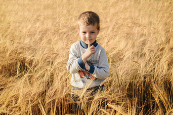 В поле / Портрет среди поля со спелой рожью. Процесс выбора места доставил модели массу удовольствия)