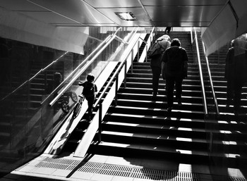 Лестница ... / "Мы по лестнице жизни шагаем,
 Не зависит - кто нищ, кто богат.
 Обернувшись, ошибки считаем,
 Сколько их на ступеньках лежат?.."
 Р.Корман