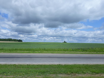 Параллели / дорога домой