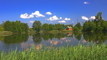 Домик у озера / Летнее утро на озере