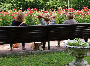 Правильное лето / ***