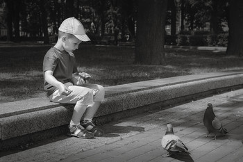 Голуби / Покормить голубей в парке - это незыблимо..